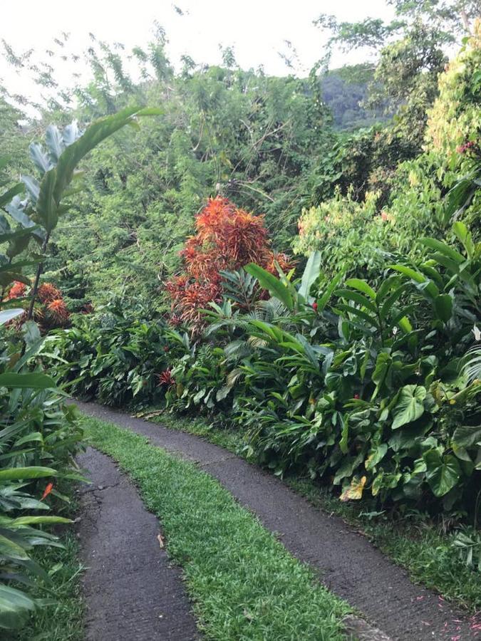 Tropical Garden Self Catering Villa Виктория Екстериор снимка