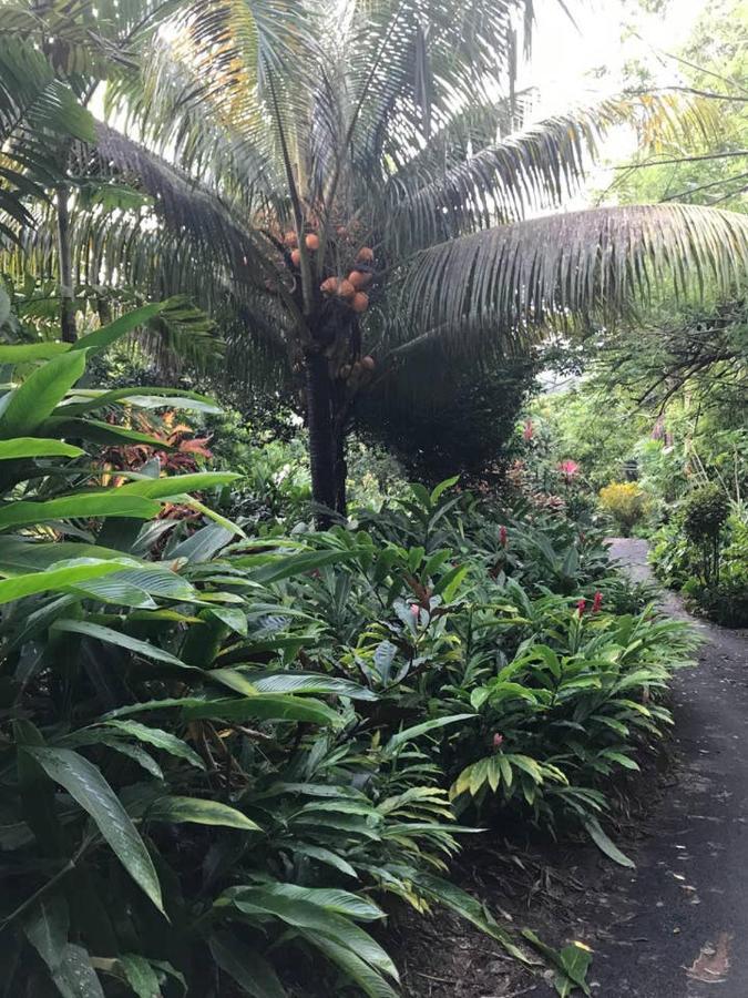 Tropical Garden Self Catering Villa Виктория Екстериор снимка